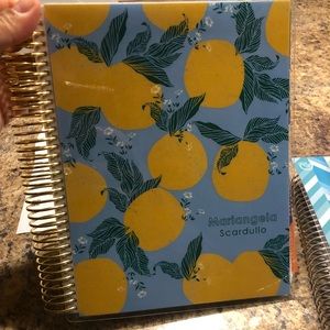 Erin Condren planner